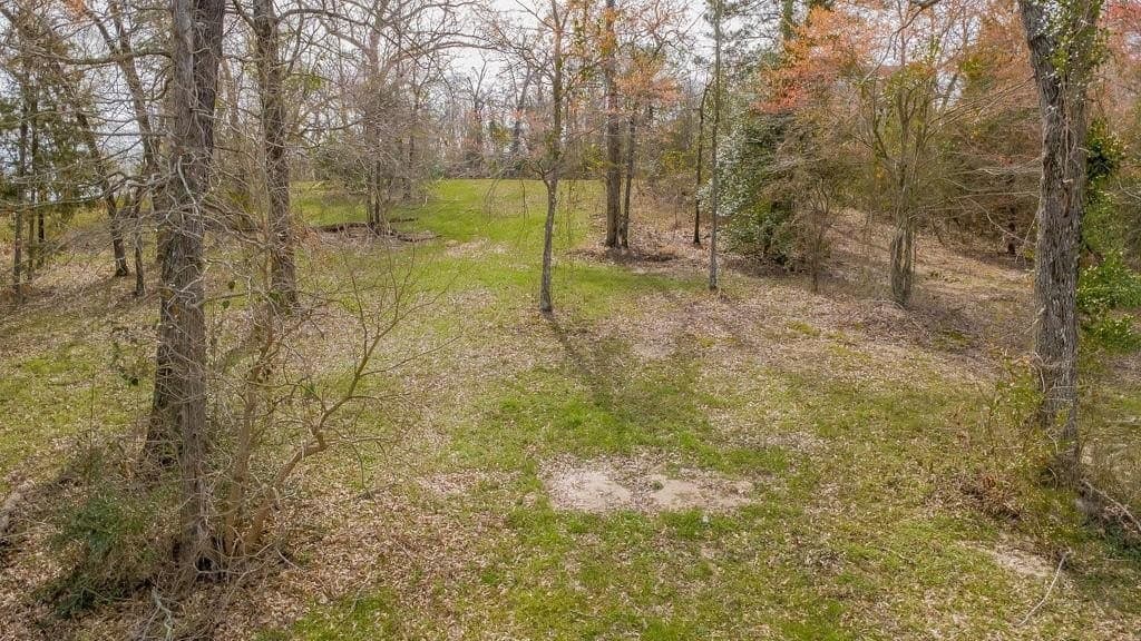 0.91 acres in Smith County - photo 3