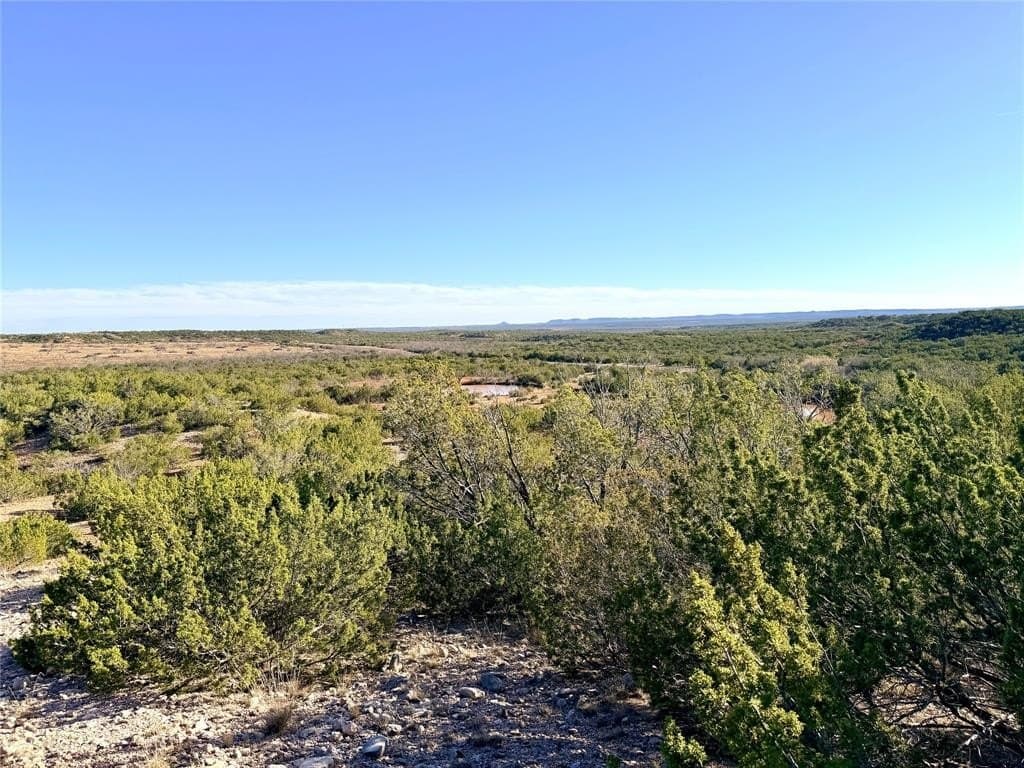 209.14 acres in Coke County - photo 33
