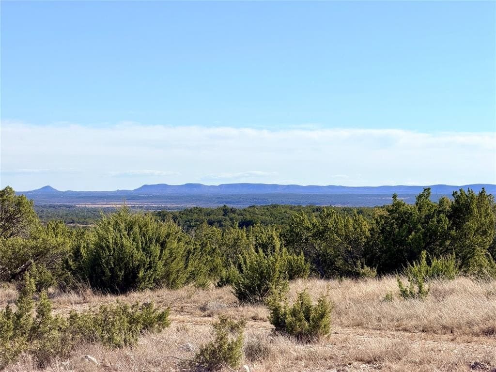 209.14 acres in Coke County - photo 6