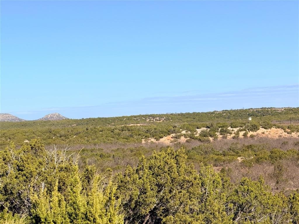 209.14 acres in Coke County - photo 7
