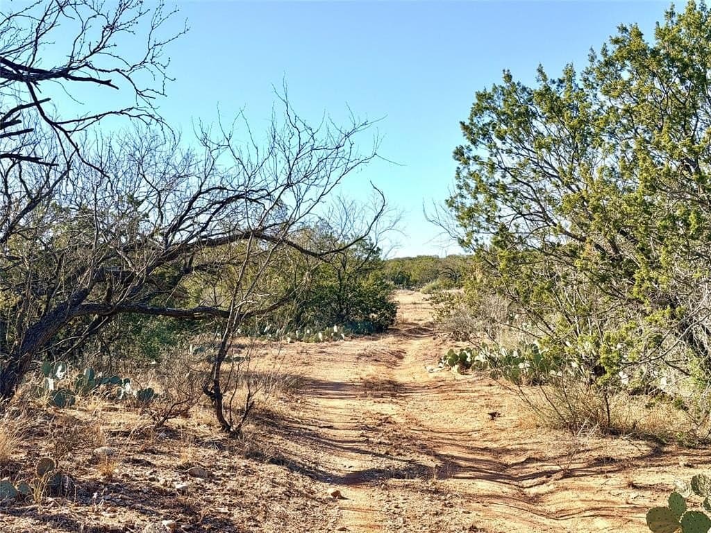 209.14 acres in Coke County - photo 27