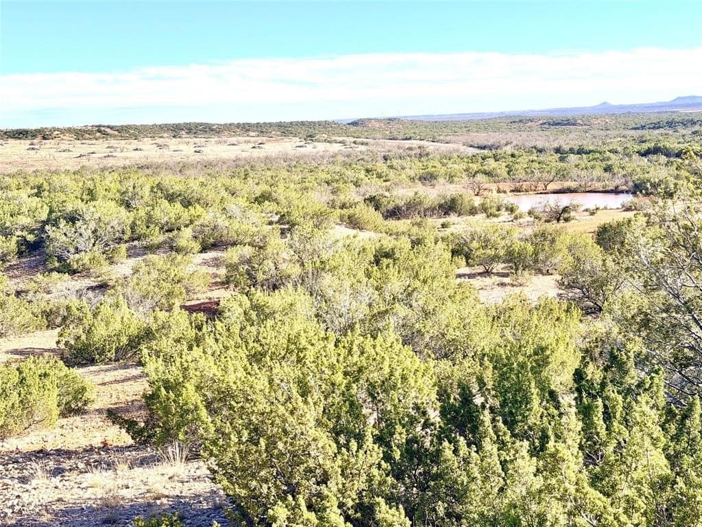 209.14 acres in Coke County - photo 32