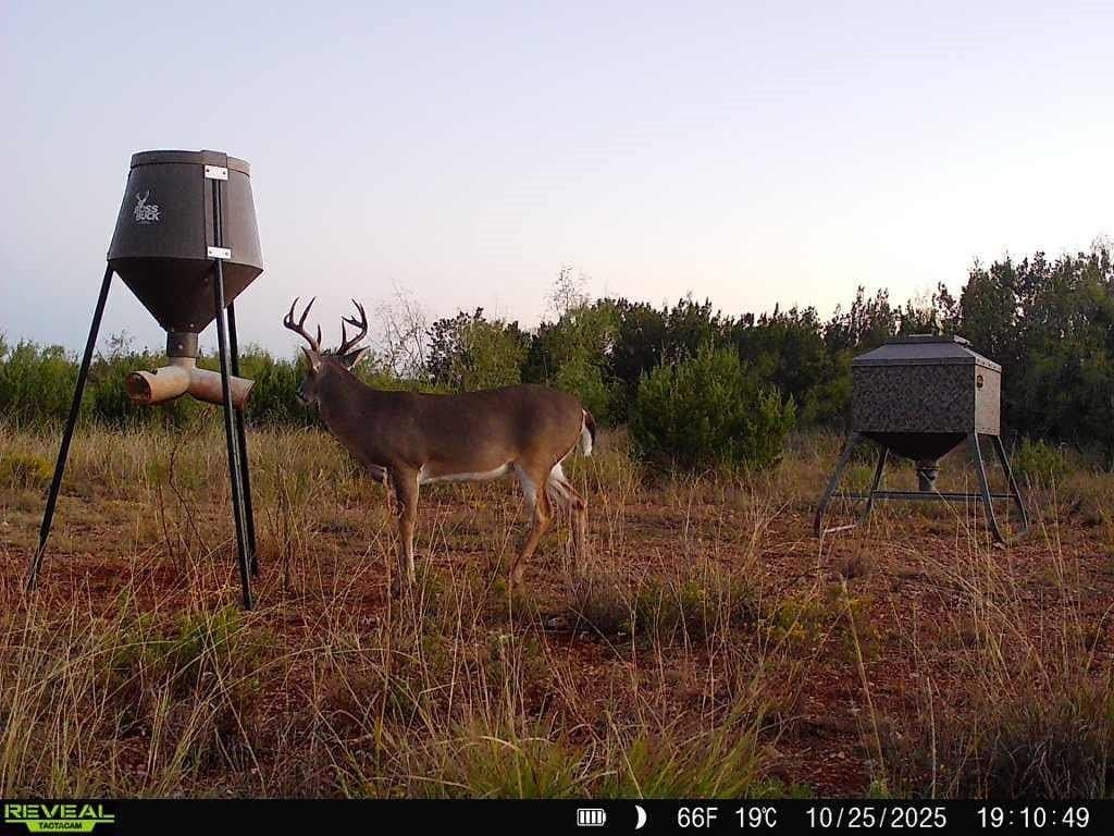 209.14 acres in Coke County - photo 40