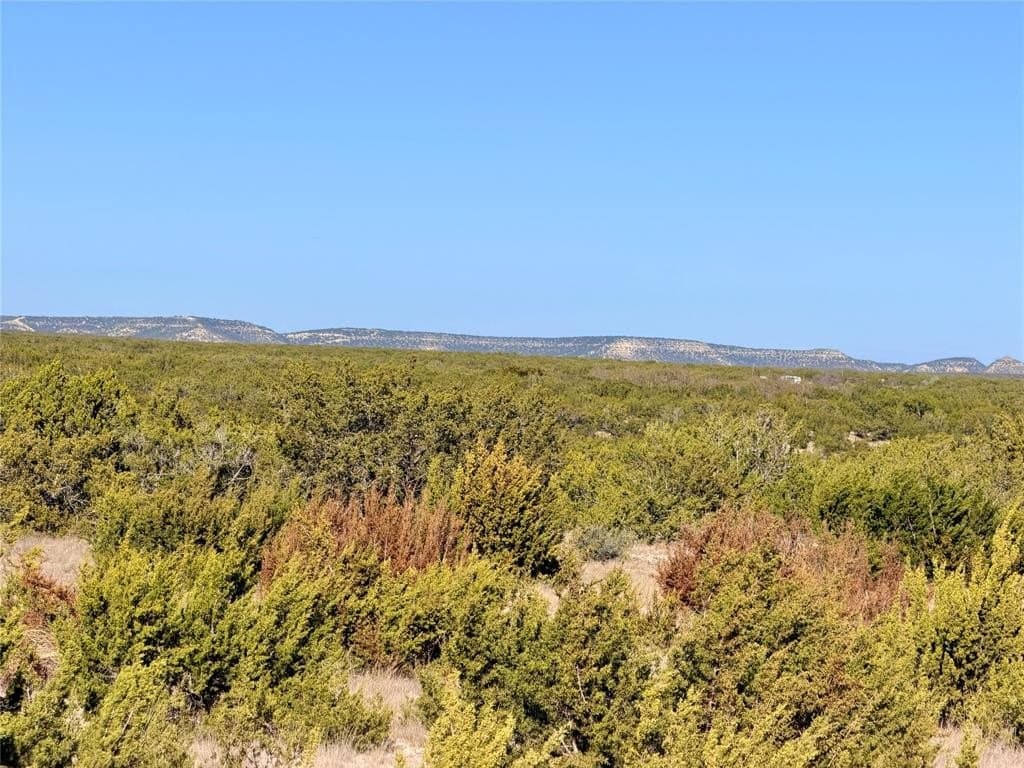 209.14 acres in Coke County - photo 8