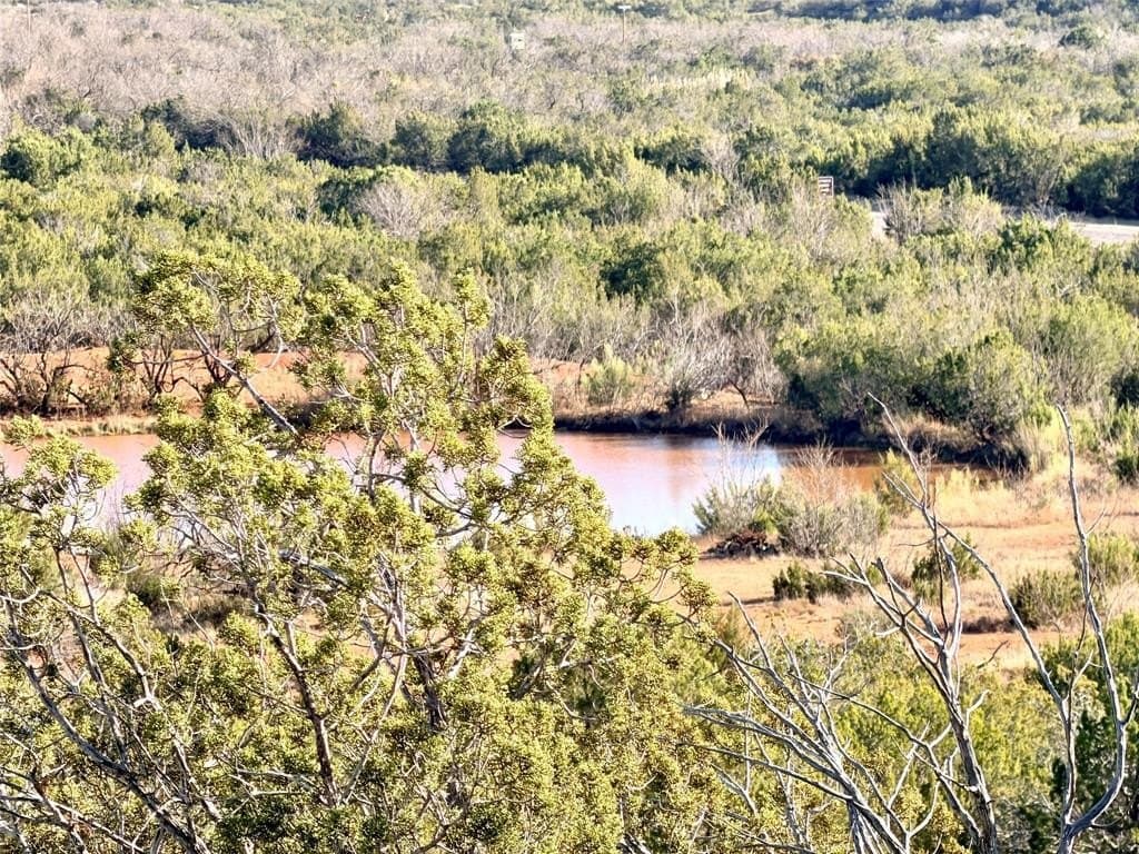 209.14 acres in Coke County - photo 34