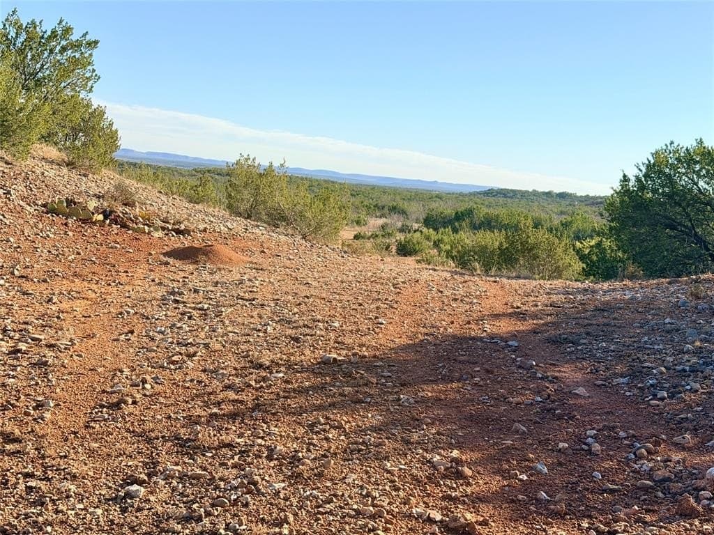 209.14 acres in Coke County - photo 36