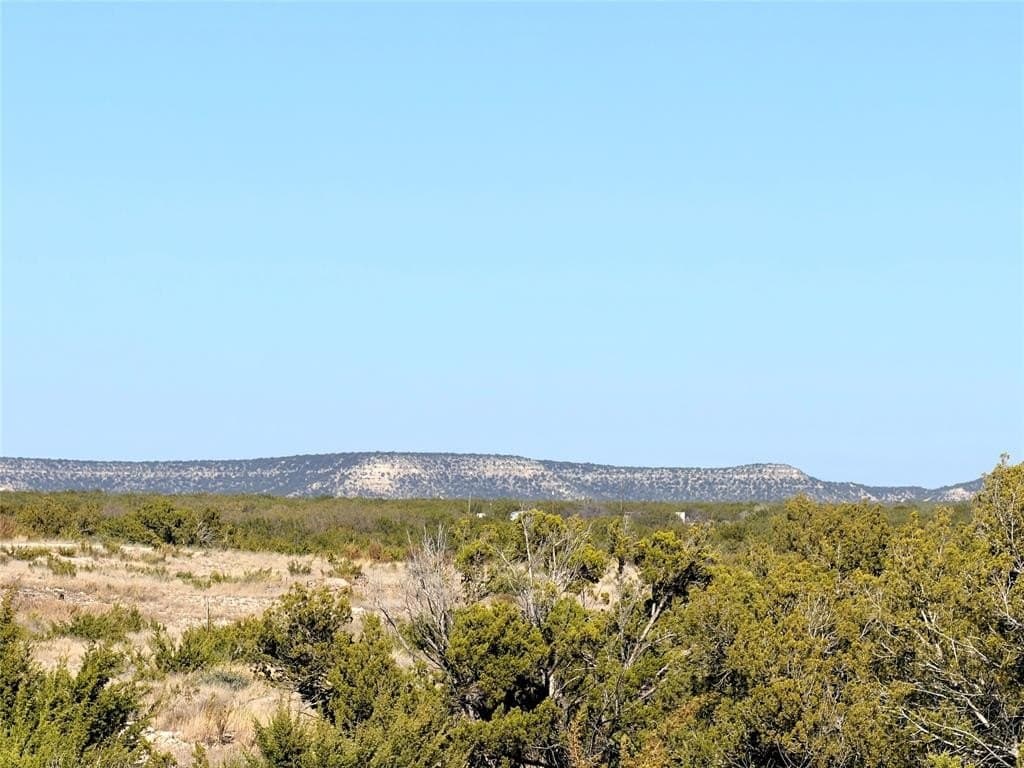 209.14 acres in Coke County - photo 5