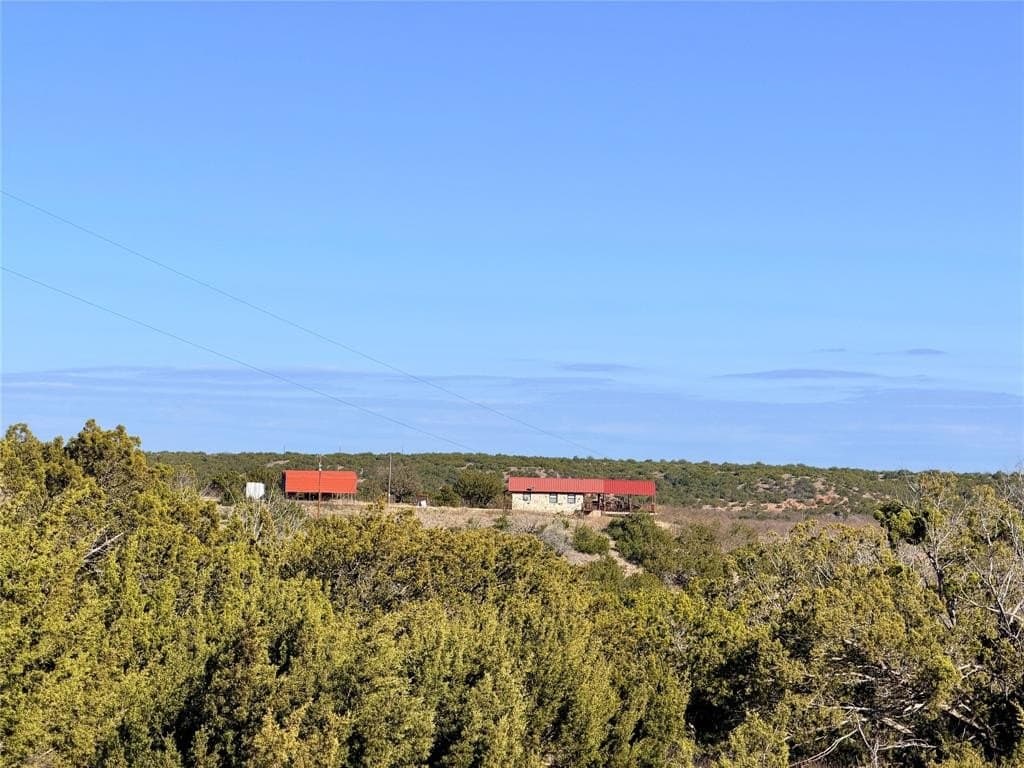 209.14 acres in Coke County - photo 10