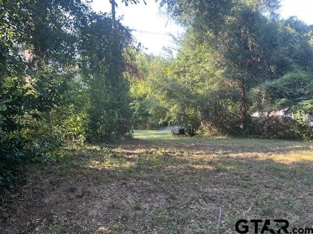 0.2 acres in Henderson County - photo 8