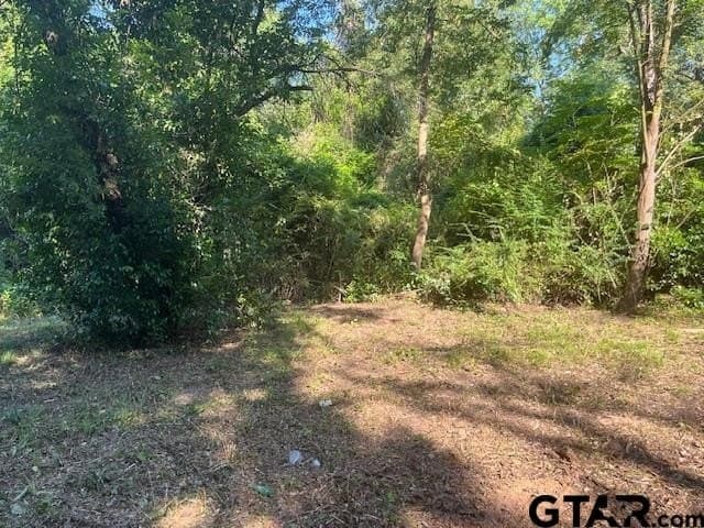 0.2 acres in Henderson County - photo 6