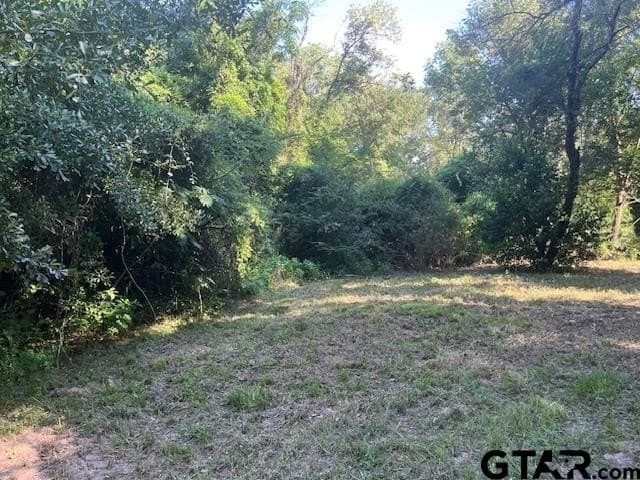 0.2 acres in Henderson County - photo 2