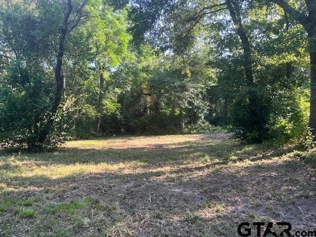 0.2 acres in Henderson County - photo 3