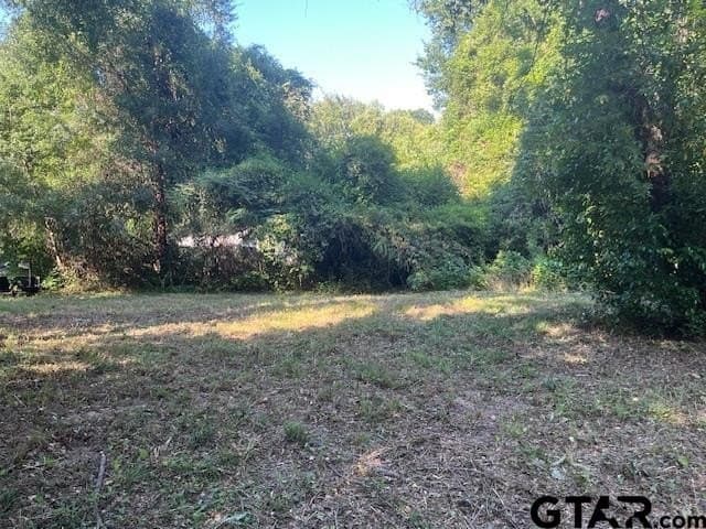 0.2 acres in Henderson County - photo 7