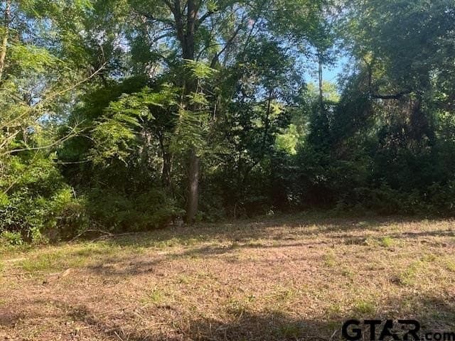 0.2 acres in Henderson County - photo 5
