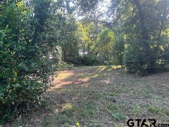0.2 acres in Henderson County - photo 4