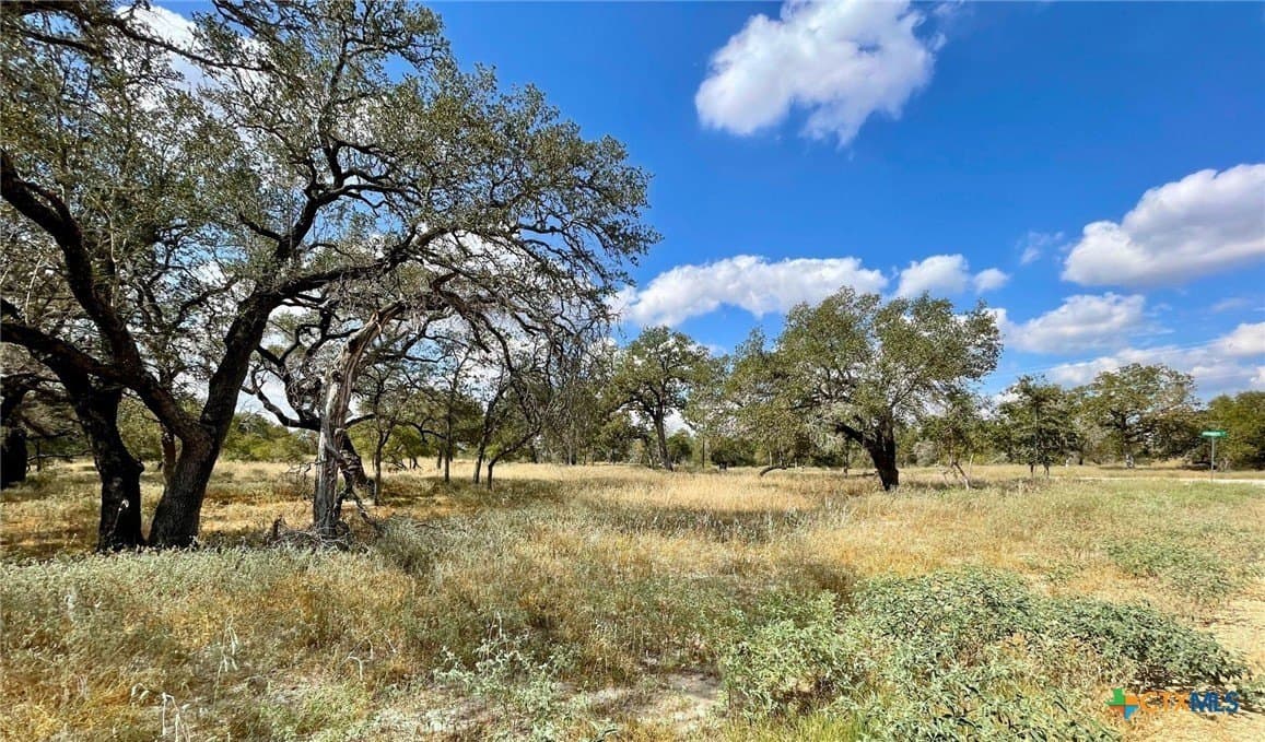 1 acres in Wilson County - photo 2