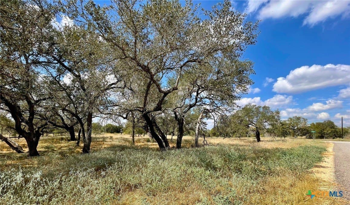 1 acres in Wilson County - photo 3