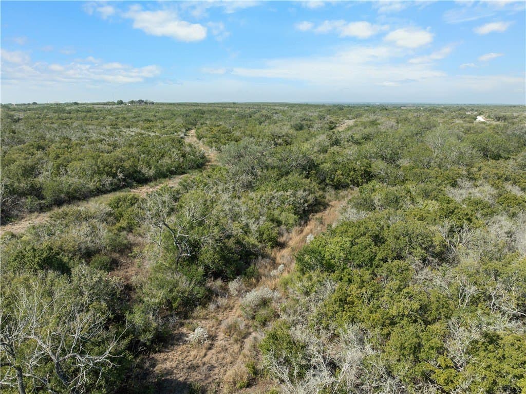 32.63 acres in Live Oak County - photo 8