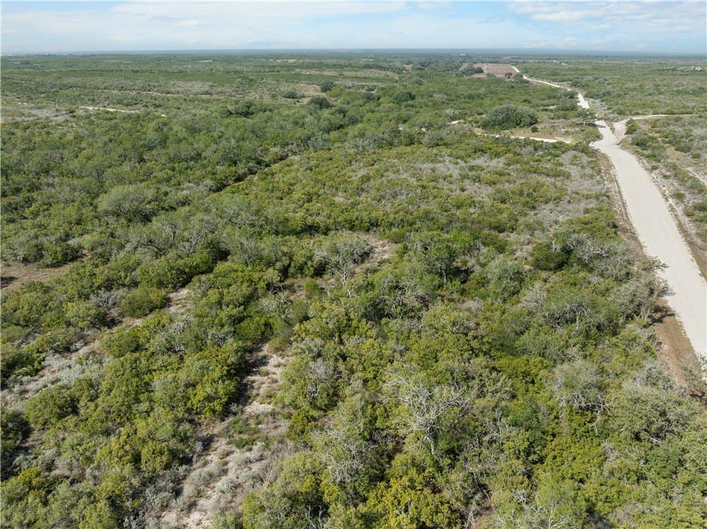 32.63 acres in Live Oak County - photo 11