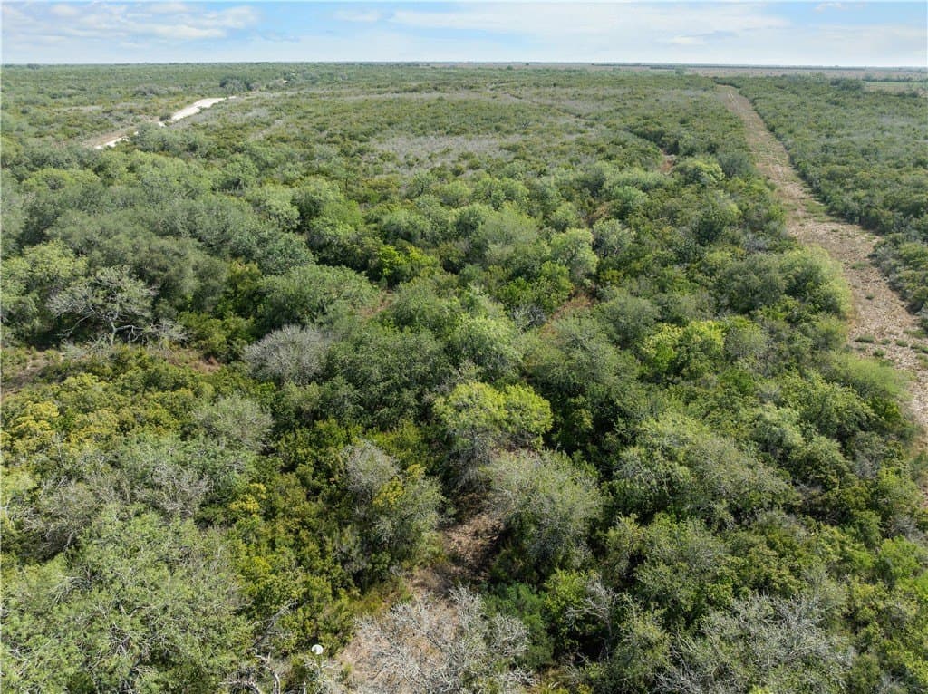 32.63 acres in Live Oak County - photo 16