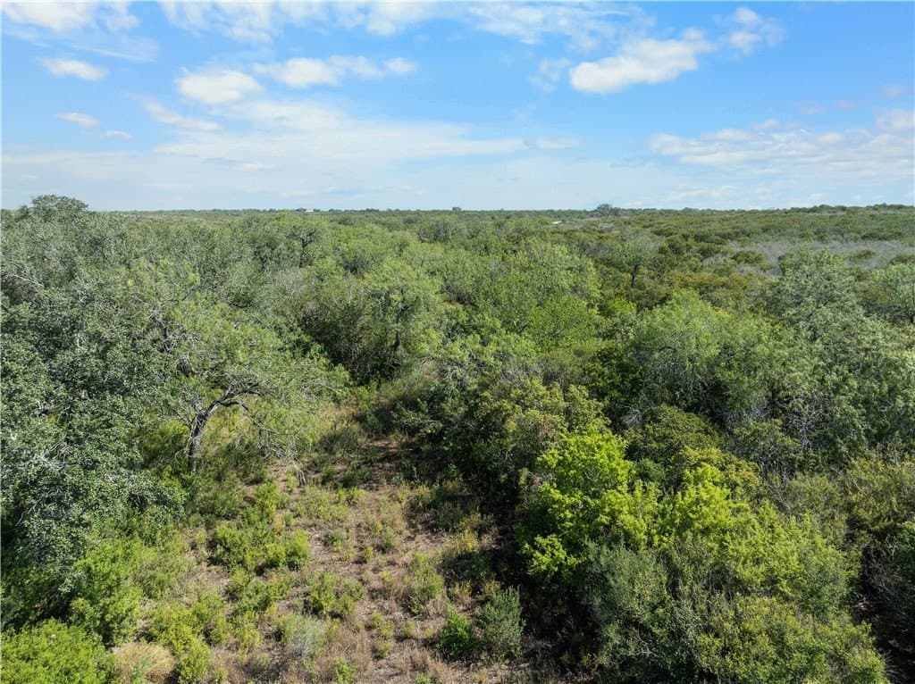 32.63 acres in Live Oak County - photo 17