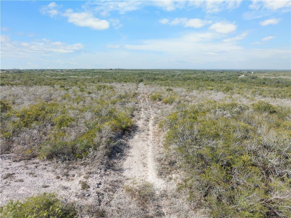 32.63 acres in Live Oak County - photo 6