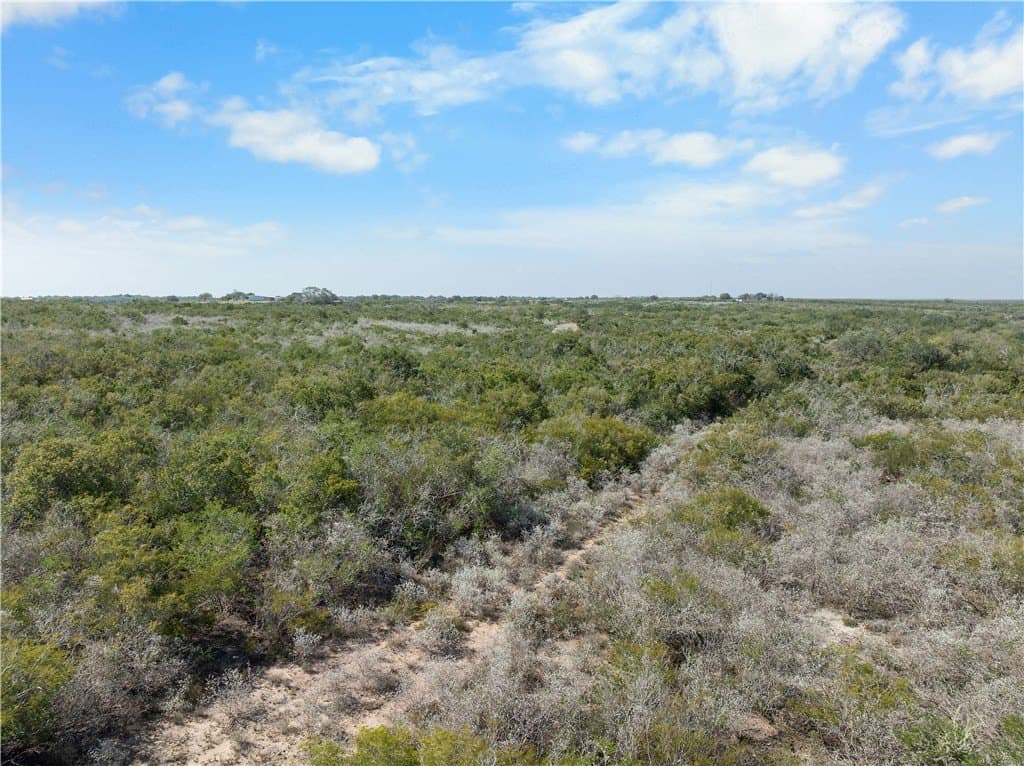 32.63 acres in Live Oak County - photo 7