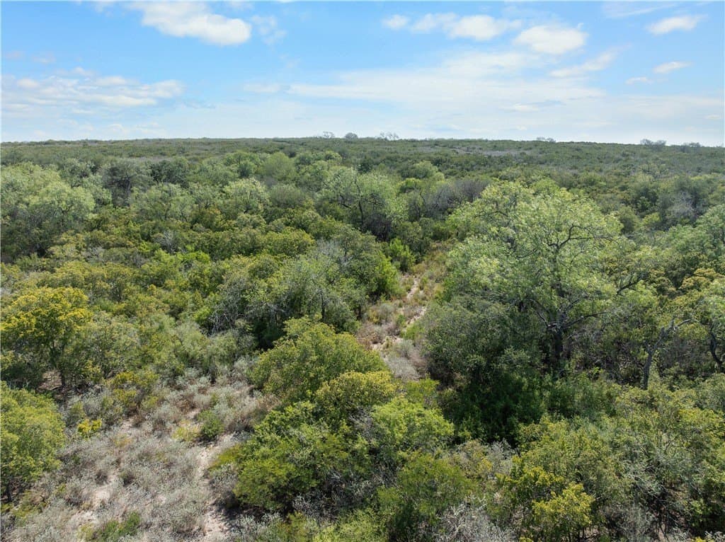 32.63 acres in Live Oak County - photo 15