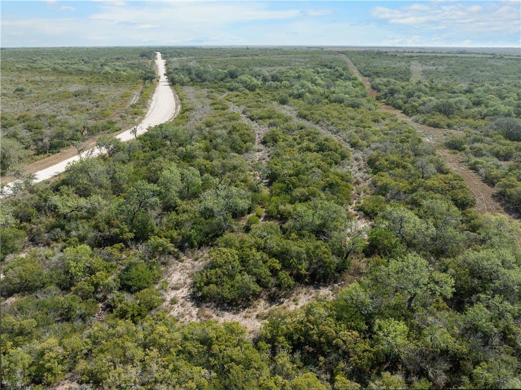 32.63 acres in Live Oak County - photo 13