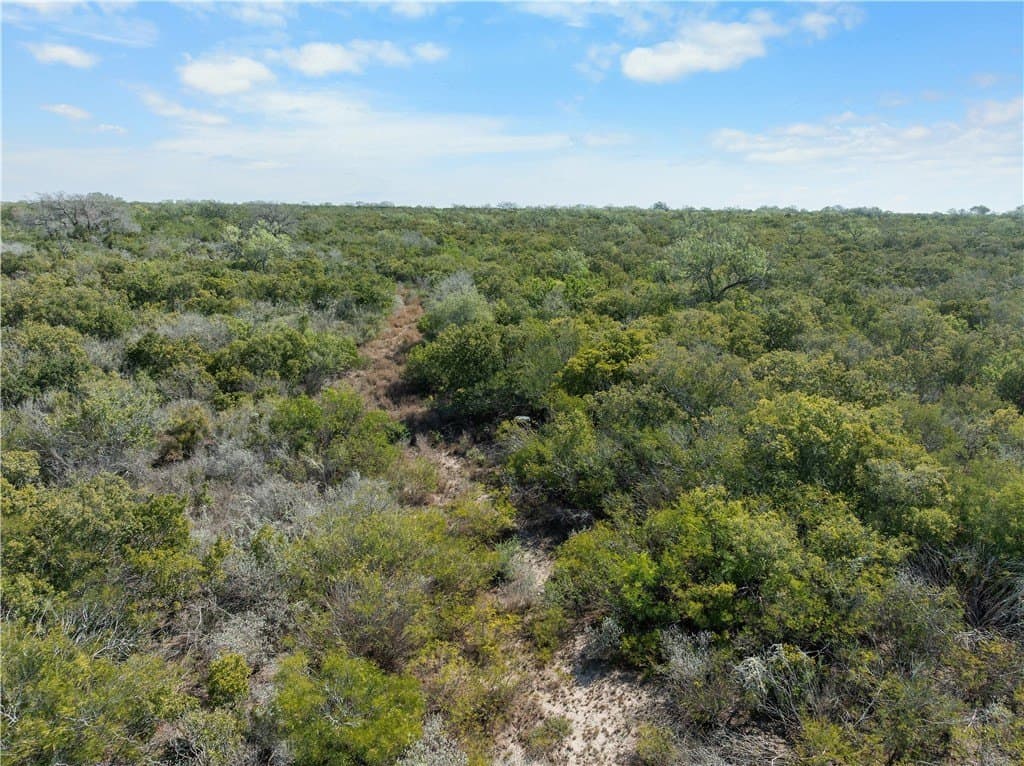 32.63 acres in Live Oak County - photo 5