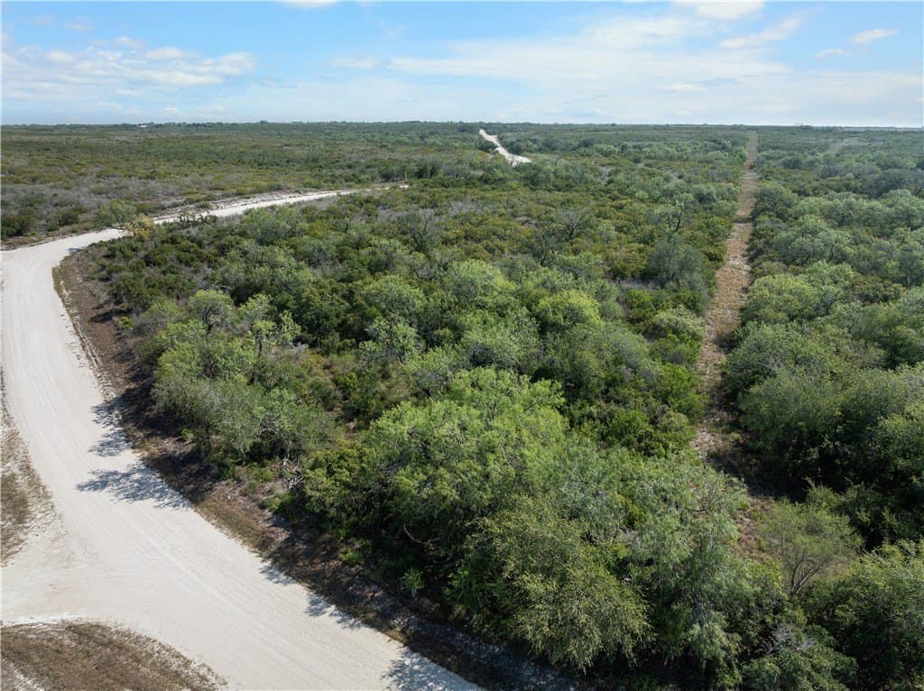 32.63 acres in Live Oak County - photo 12