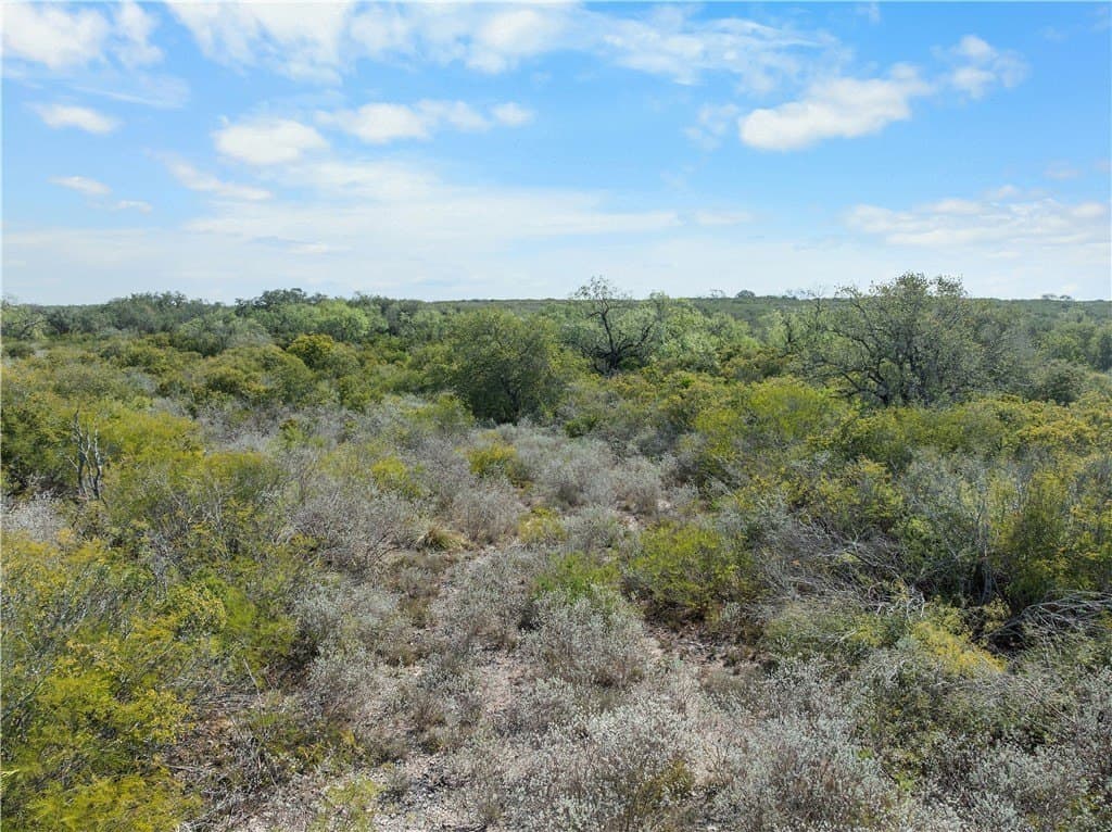 32.63 acres in Live Oak County - photo 14