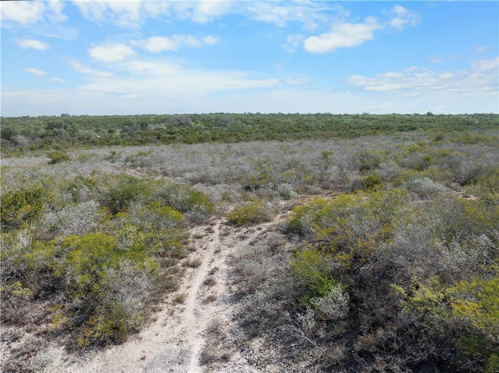 32.63 acres in Live Oak County - photo 3