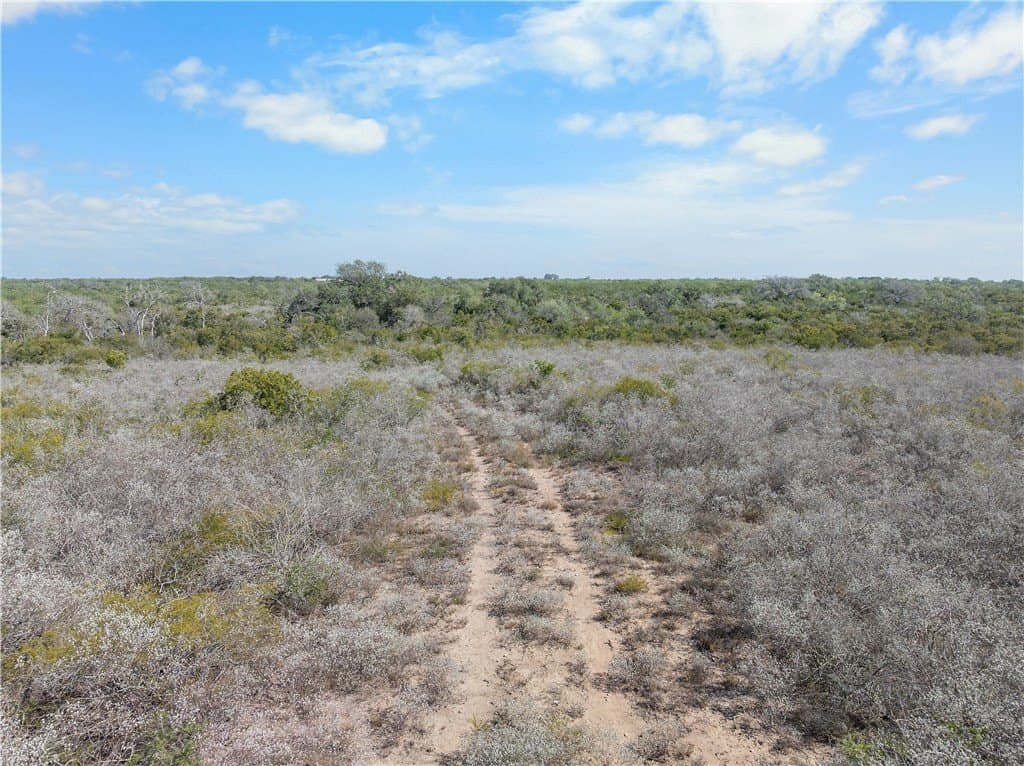 32.63 acres in Live Oak County - photo 4