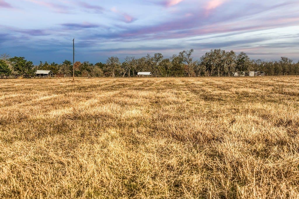 37 acres in Burleson County - photo 10
