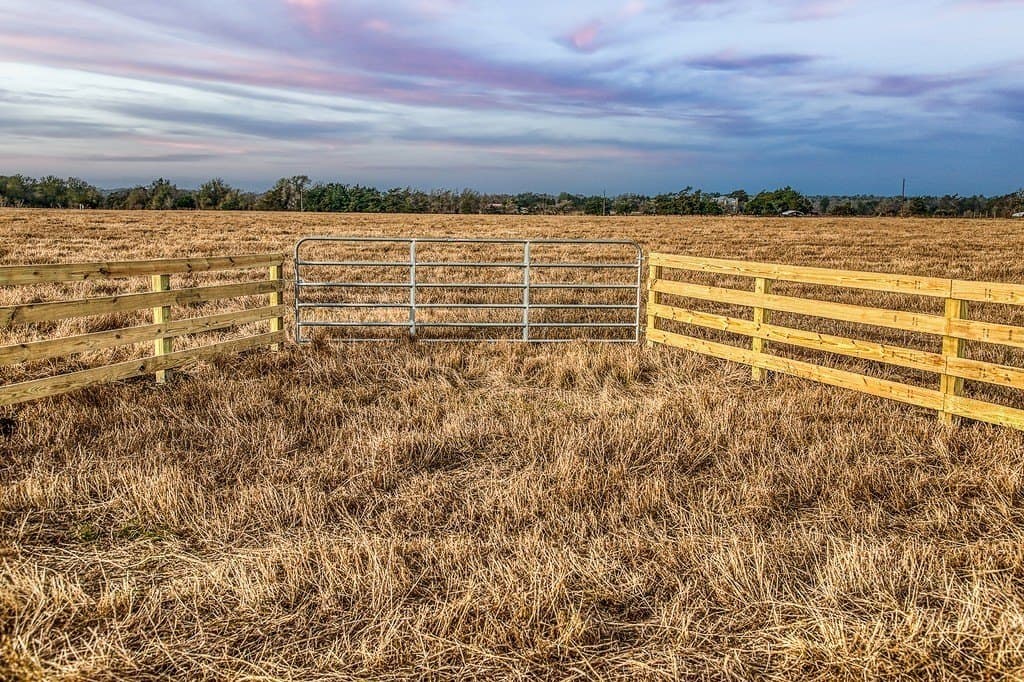 37 acres in Burleson County - photo 3