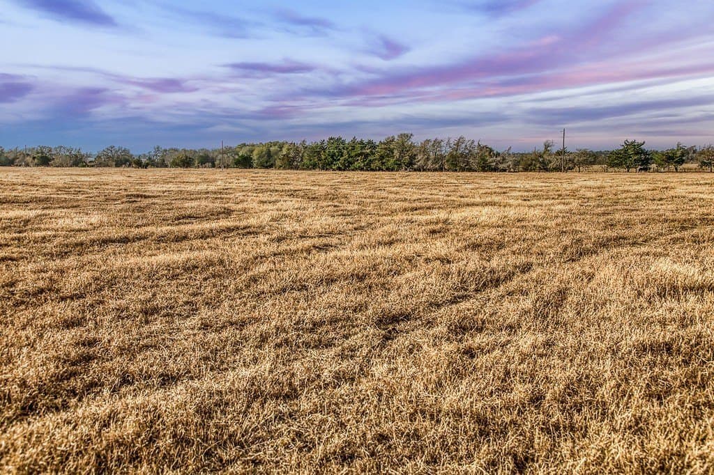 37 acres in Burleson County - photo 7