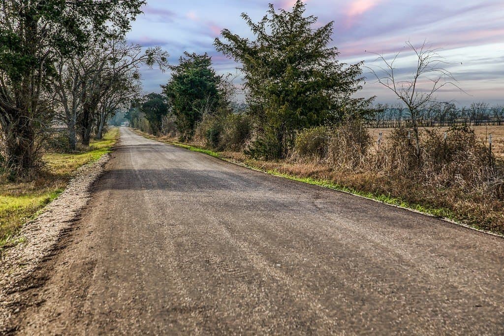 37 acres in Burleson County - photo 4