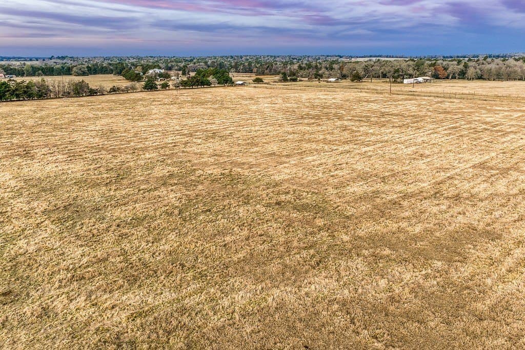 37 acres in Burleson County - photo 5