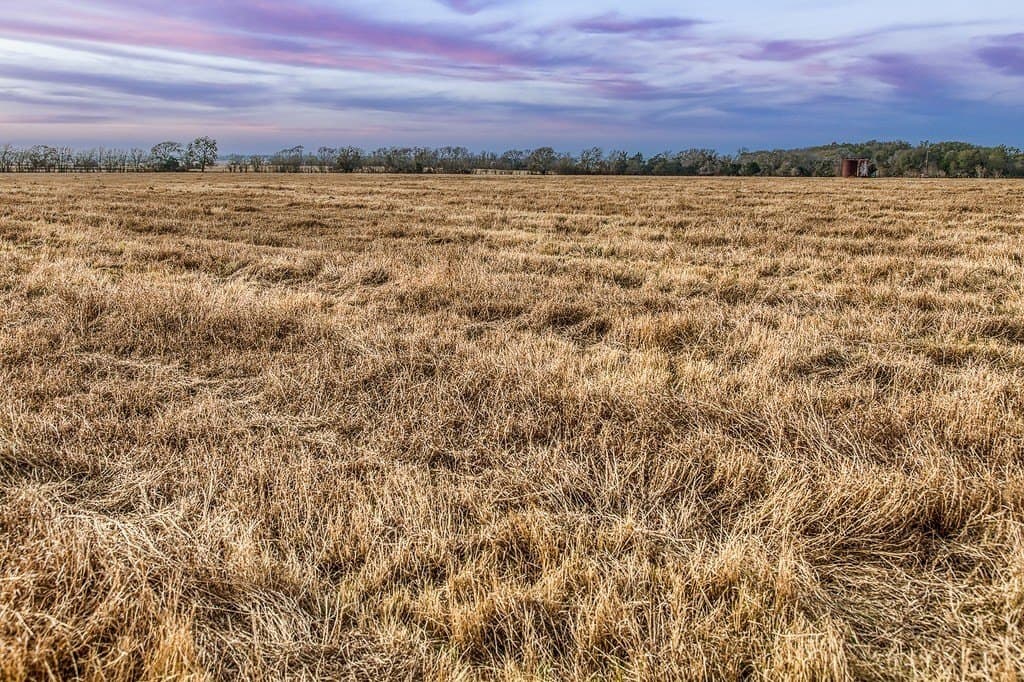 37 acres in Burleson County - photo 14