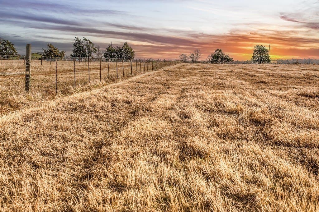 37 acres in Burleson County - photo 8