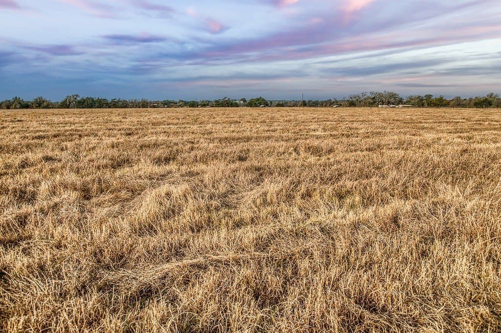 37 acres in Burleson County - photo 13