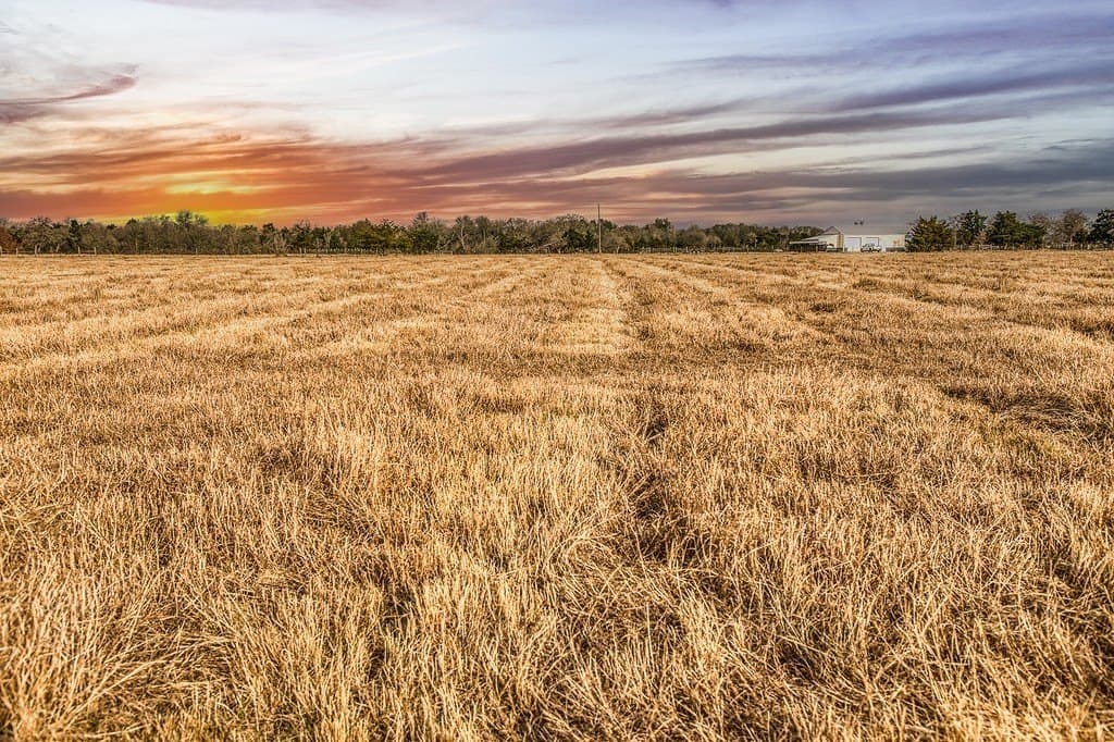 37 acres in Burleson County - photo 11