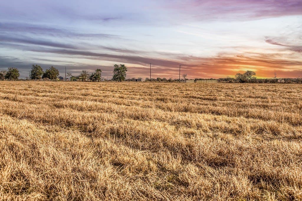 37 acres in Burleson County - photo 12