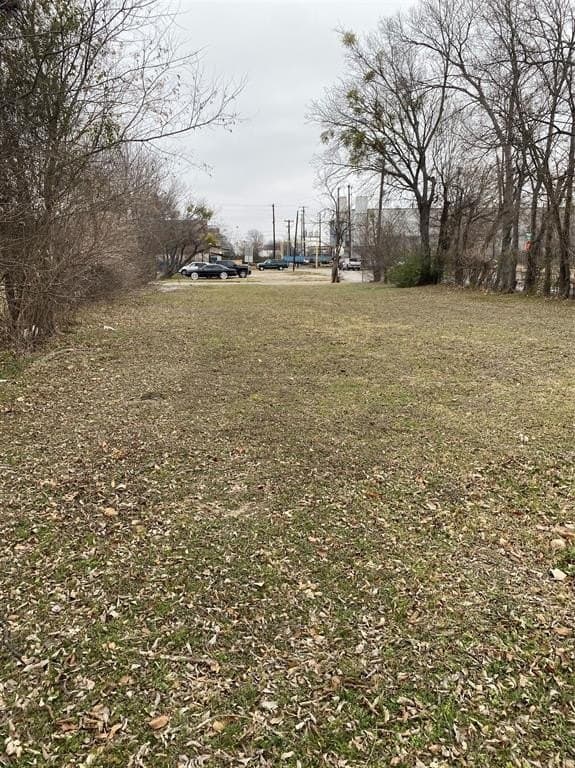 0.17 acres in Dallas County - photo 3