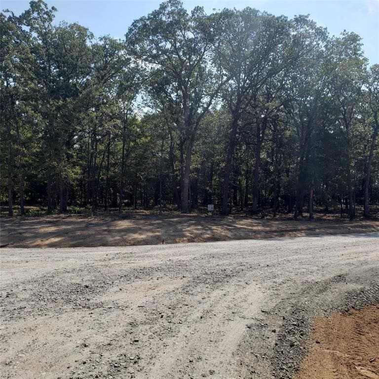 0.73 acres in Wood County - photo 14
