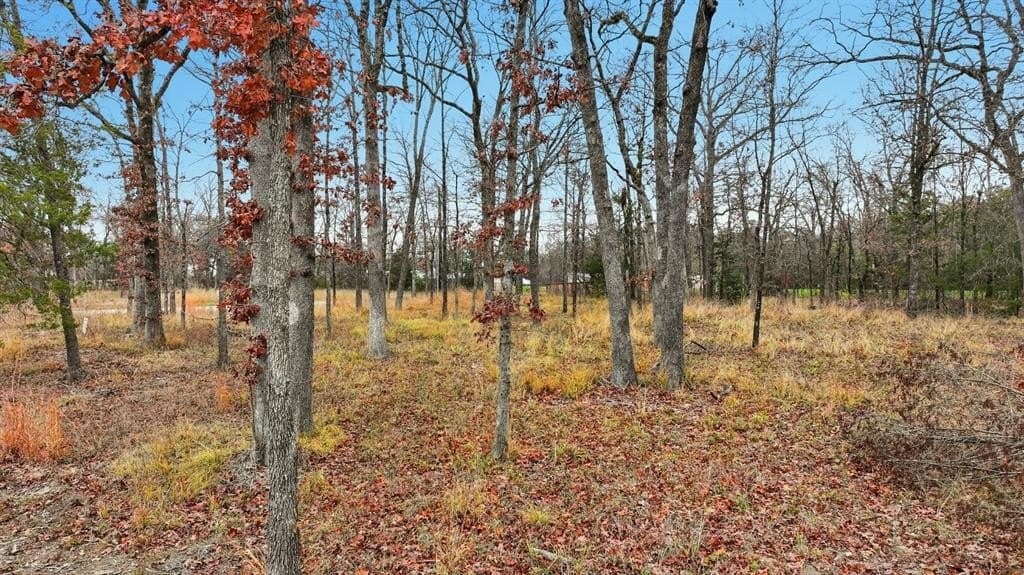 0.73 acres in Wood County - photo 12