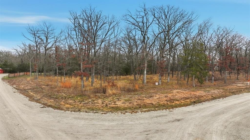 0.73 acres in Wood County - photo 8