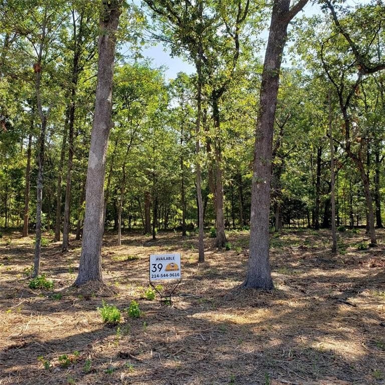 0.73 acres in Wood County - photo 13