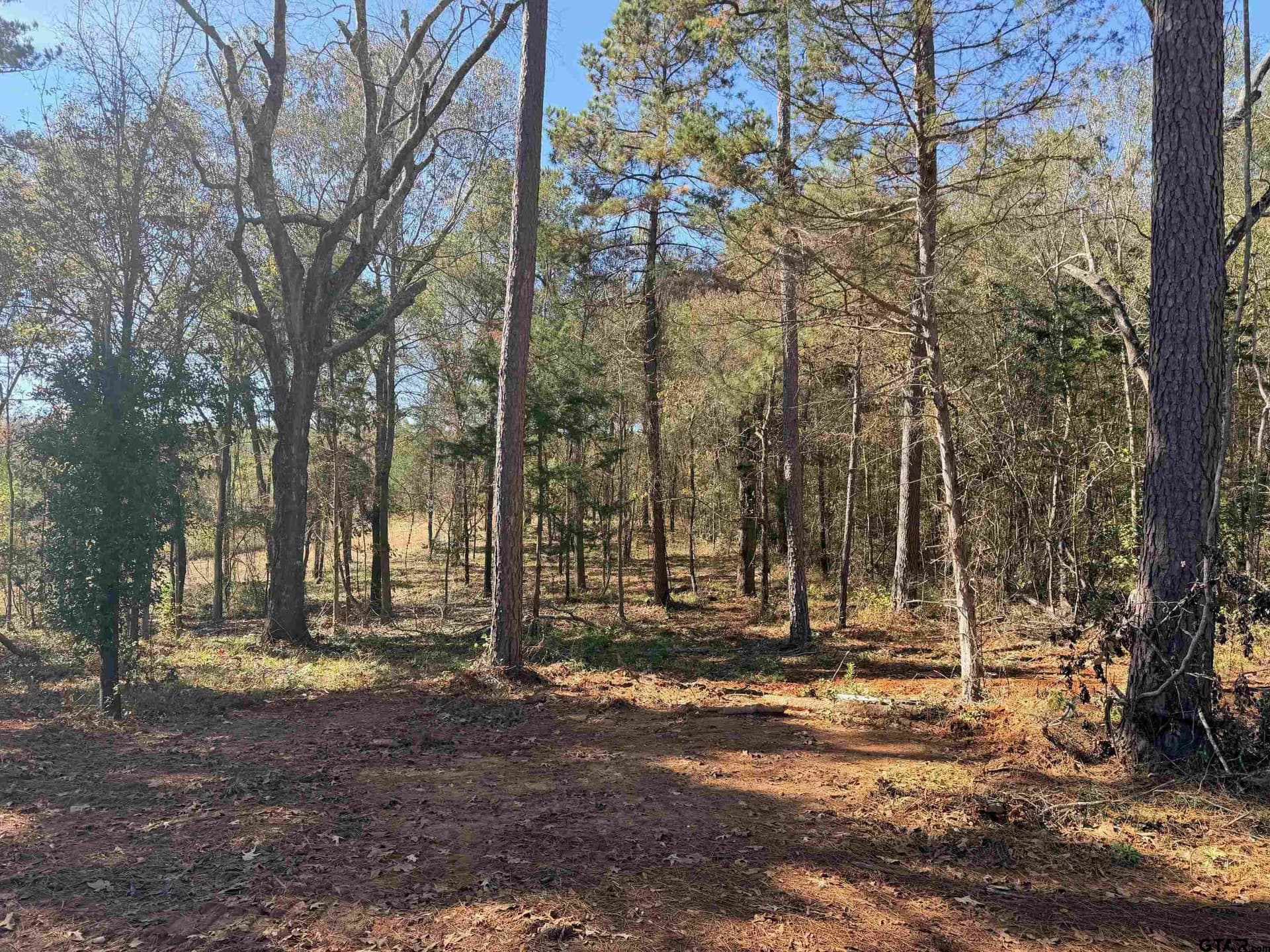 6.82 acres in Smith County - photo 5